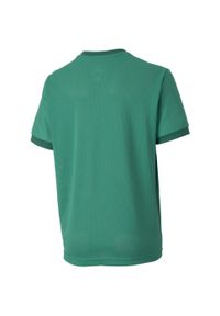 Koszulka dla dzieci Puma teamGOAL 23 Jersey. Kolor: zielony. Materiał: poliester