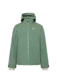Kurtka z kapturem Didriksons Trien. Typ kołnierza: kaptur. Kolor: zielony. Materiał: puch. Sport: turystyka piesza #1