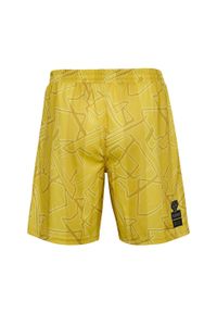 Spodenki bramkarskie dla dzieci Hummel DBU-Hallo 24. Kolor: żółty. Styl: sportowy, młodzieżowy