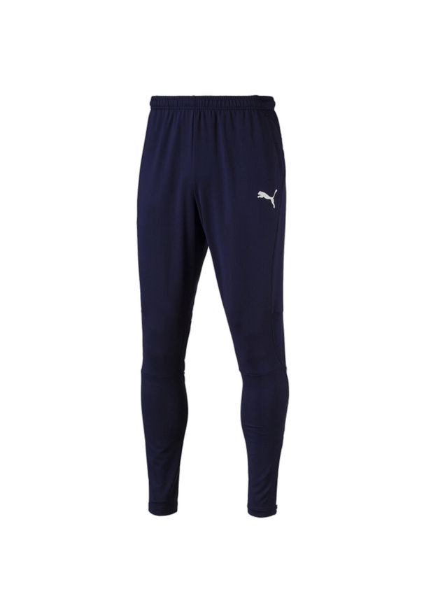 Spodnie Puma Liga Pants Pro, Mężczyźni. Kolor: niebieski. Materiał: poliester, materiał. Sport: piłka nożna