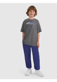 4f - 4F T-shirt oversize z nadrukiem chłopięcy - szary 164 (13-14 lat). Okazja: na co dzień, na uczelnię. Kolor: szary. Materiał: dzianina, materiał, dresówka, bawełna, skóra, jeans. Wzór: nadruk. Sezon: lato. Styl: casual #2