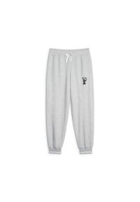 Spodnie Kobieta Puma Squad szary. Kolor: szary. Sport: fitness #1