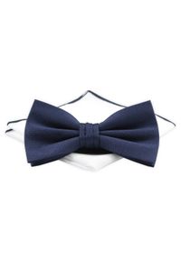 Mucha z Poszetką Chattier ZESTAW - Granatowa, Bez Wzoru. Kolor: niebieski. Materiał: poliester. Styl: sportowy, elegancki