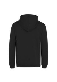 Bluza sportowa męska Fila Beltinci Hoody. Typ kołnierza: kaptur. Kolor: wielokolorowy