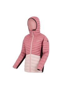 Regatta - Kurtka damska hybrydowa z kapturem Leedre. Typ kołnierza: kaptur. Kolor: różowy. Materiał: puch, syntetyk. Sport: turystyka piesza #1