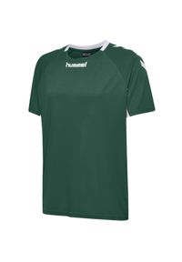 Koszulka sportowa z krótkim rękawem dla dzieci Hummel Core Kids Team Jersey S/S. Kolor: wielokolorowy, zielony, biały. Materiał: jersey. Długość rękawa: krótki rękaw. Długość: krótkie