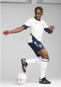 Puma - Męskie szorty treningowe Portugalia PUMA Persian Blue Sugared Almond Beige. Kolor: beżowy. Sport: piłka nożna