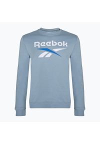 Bluza męska Reebok Identity Big Logo Fleece Crew. Kolor: niebieski #1