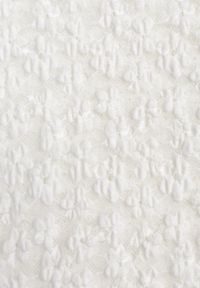 Born2be - Biała Koronkowa Bluzka o Dopasowanym Kroju z Krótkim Rękawem Noessa. Okazja: na co dzień, do pracy, na spotkanie biznesowe. Kolor: biały. Materiał: koronka. Długość rękawa: krótki rękaw. Długość: krótkie. Wzór: koronka. Styl: klasyczny, casual, biznesowy, elegancki #4