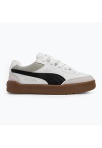 Puma - Buty męskie PUMA Park Lifestyle SK8. Kolor: biały, wielokolorowy, szary
