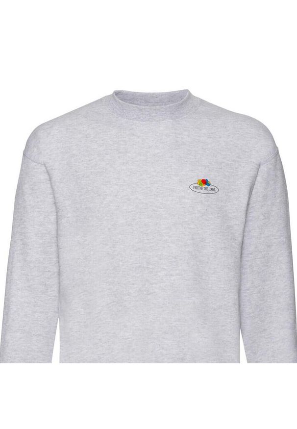FRUIT OF THE LOOM - Męska Bluza Z Nadrukiem Logo W Stylu Vintage. Kolor: szary. Wzór: nadruk