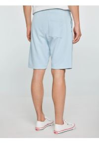 Big-Star - Szorty męskie dresowe jasnoniebieskie Luiss 400. Kolor: niebieski. Materiał: dresówka. Wzór: aplikacja, haft, ze splotem. Sezon: lato. Styl: wakacyjny, elegancki #3