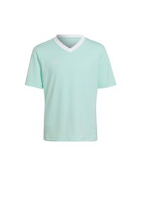 Adidas - Koszulka piłkarska dla dzieci adidas Entrada 22 Jersey. Kolor: wielokolorowy, zielony, niebieski. Materiał: jersey. Sport: piłka nożna
