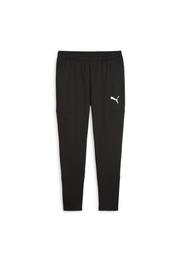 Spodnie męskie Puma Team Goal Slim Training. Kolor: czarny. Sport: fitness, piłka nożna