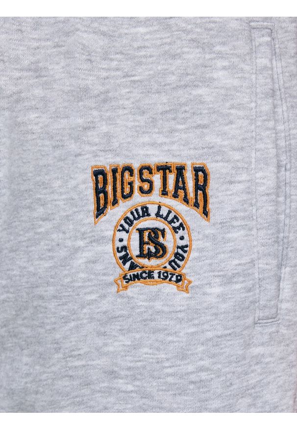Big-Star - Spodnie chłopięce dresowe szare Lironp 901. Okazja: na co dzień. Kolor: szary. Materiał: dresówka. Wzór: haft, aplikacja. Styl: sportowy, casual