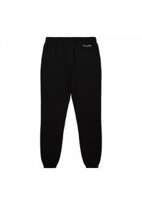 Spodnie sportowe męskie Mitchell & Ness Branded Fashion Graphic Sweatpants. Kolor: czarny. Materiał: dresówka