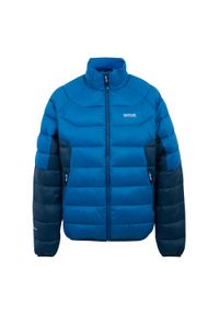 Regatta - Męska Ocieplana Kurtka Dalent. Kolor: niebieski, wielokolorowy, zielony. Materiał: puch. Sport: turystyka piesza #1