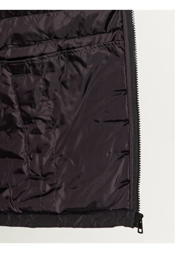 Sprandi Kurtka puchowa SP3-KUM050 Czarny Regular Fit. Kolor: czarny. Materiał: syntetyk