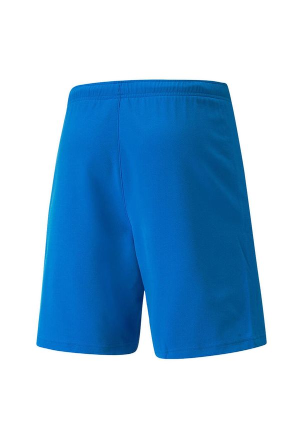 Puma - Męskie Spodenki Dresowe TeamRISE. Kolor: niebieski. Materiał: dresówka
