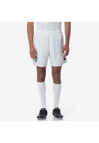 Kappa - Krótki AS Monaco Ryder 2024/25. Kolor: szary. Długość: krótkie. Sport: piłka nożna