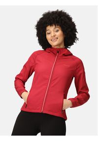 Regatta Kurtka softshell Arec III RWL217 Czerwony Regular Fit. Kolor: czerwony. Materiał: syntetyk #5
