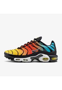 Buty sportowe męskie Nike Air Max Plus. Kolor: wielokolorowy. Model: Nike Air Max
