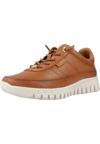 Carmela - Buty CARMELA 162525C Brązowy. Kolor: brązowy. Materiał: tkanina, skóra. Styl: sportowy