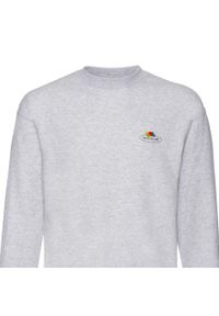 FRUIT OF THE LOOM - Męska Bluza Z Nadrukiem Logo W Stylu Vintage. Kolor: szary. Wzór: nadruk