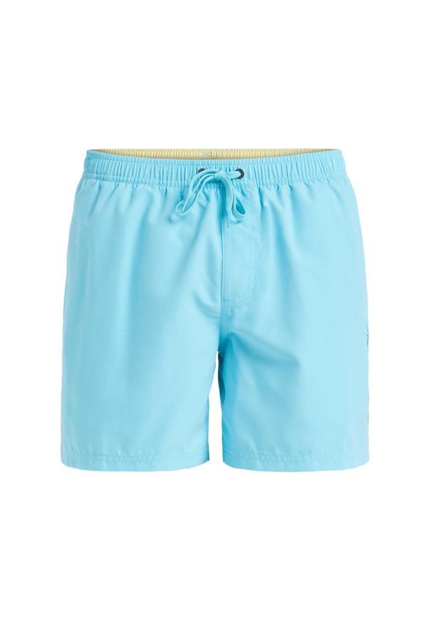 Quiksilver - Szorty kąpielowe dla Mężczyzn SPL FINELINE 15" Niebieski. Kolor: niebieski. Materiał: poliester, materiał. Styl: sportowy