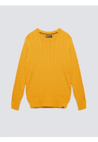 Big-Star - Sweter męski ze splotem warkoczowym żołty Amaris 201. Okazja: na co dzień. Kolor: żółty. Materiał: jeans, dzianina. Wzór: ze splotem. Styl: casual, klasyczny #4