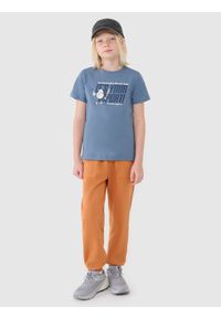 4f - 4F T-shirt regular z nadrukiem chłopięcy - niebieski 128 (7-8 lat). Okazja: na co dzień. Kolor: niebieski. Materiał: dzianina, bawełna, jersey. Długość rękawa: krótki rękaw. Długość: krótkie. Wzór: nadruk. Sezon: lato. Styl: klasyczny, sportowy, casual