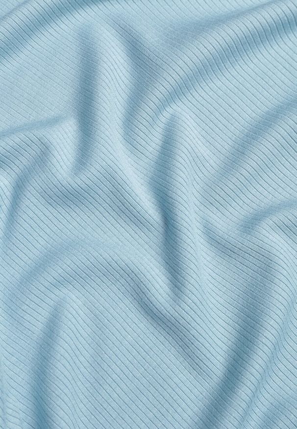 Renee - Jasnoniebieski T-shirt w Prążki z Marszczeniami po Bokach Nedala. Okazja: na co dzień. Kolor: niebieski. Wzór: prążki. Styl: casual, elegancki