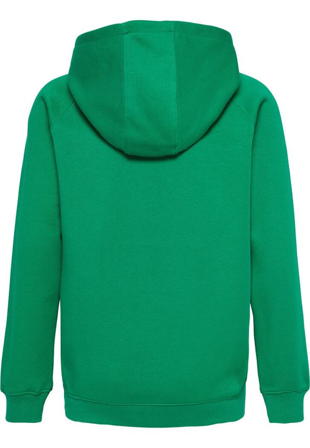 Bluza z kapturem dla dzieci Hummel Red Classic. Typ kołnierza: kaptur. Kolor: zielony