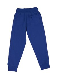 LEONE 1947 APPAREL - Dziecięce joggery basic z dużym logo. Kolor: niebieski. Sport: joga i pilates
