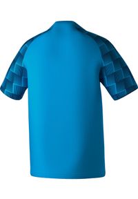 ERIMA - Jersey Erima Evo Star. Kolor: niebieski, zielony, wielokolorowy. Materiał: jersey. Sport: piłka nożna