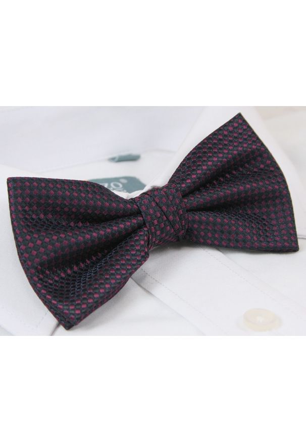Muszka Chattier elegancka