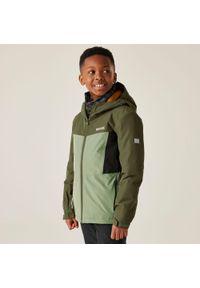 Regatta - Kurtka dziecięca przejściowa przeciwdeszczowa Beamz. Kolor: wielokolorowy, brązowy, zielony. Materiał: tkanina, puch. Styl: sportowy #1
