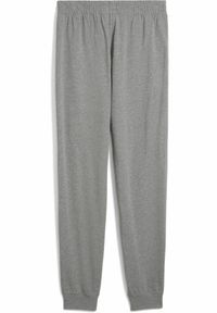 Puma - Męskie spodnie Essentials z logo No. 1 z dżerseju PUMA Medium Gray Heather. Kolor: szary. Materiał: jersey