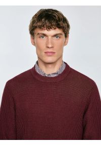 Big-Star - Sweter męski bawełniany bordowy Carlo 604. Okazja: na co dzień. Kolor: czerwony. Materiał: bawełna. Wzór: ze splotem. Styl: klasyczny, casual, elegancki #4