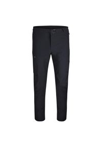 Spodnie tech. męskie Odlo Pants regular length ASCENT. Kolor: czarny. Sezon: lato. Sport: turystyka piesza #1