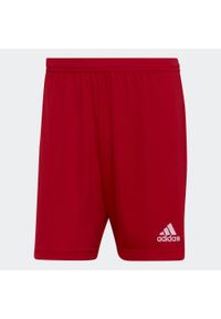 Adidas - Spodenki piłkarskie męskie adidas Entrada 22. Kolor: czerwony. Sport: piłka nożna #1