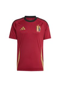 Adidas - Koszulka Belgium 24 Home Fan. Kolor: brązowy, wielokolorowy, czerwony. Materiał: materiał