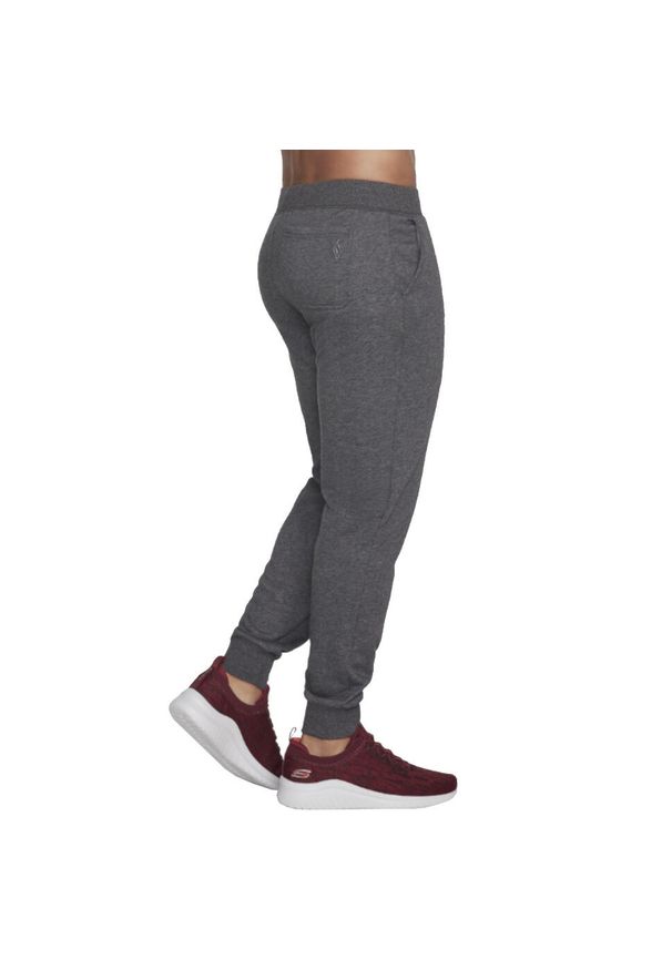 skechers - Spodnie sportowe męskie Skechers Go Walk Expedition Jogger Pant. Kolor: szary. Sport: fitness