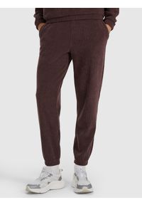 4f - 4F Spodnie dresowe joggery damskie - brązowe XL. Kolor: brązowy. Materiał: dresówka #2