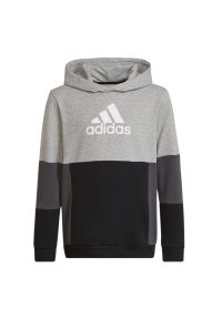 Adidas - Bluza adidas Colourblock Hoodie HN8563 - czarno-szara. Typ kołnierza: kaptur. Kolor: wielokolorowy, czarny, szary. Materiał: bawełna, polar, poliester. Wzór: aplikacja. Styl: klasyczny, młodzieżowy