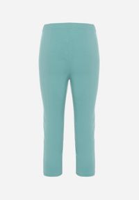 Born2be - Miętowe Spodnie 3/4 z Elastyczną Gumką w Pasie i Suwakami Leazira. Okazja: na co dzień. Kolor: miętowy. Styl: elegancki, casual #7