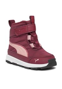 Puma Śniegowce Evolve Boot AC+ Inf 392646 04 Bordowy. Kolor: czerwony