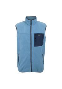 Regatta - Męska Kamizelka Polarowa Frankie. Kolor: niebieski. Materiał: polar #1