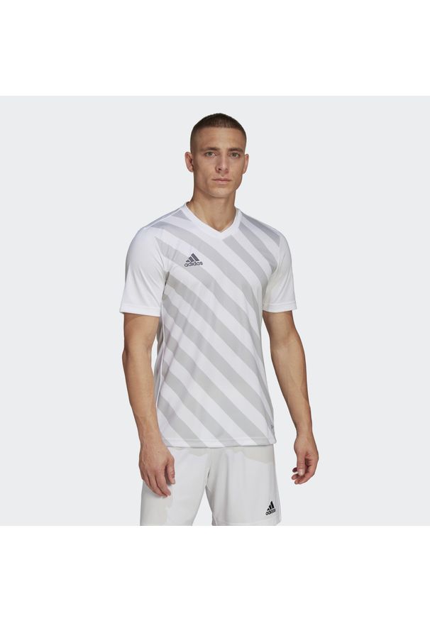 Adidas - Jersey adidas Entrada 22 Graphic. Kolor: biały, wielokolorowy, szary. Materiał: jersey. Sezon: lato. Sport: piłka nożna