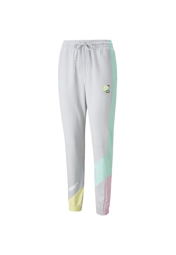 Puma Spodnie Intl 53165909. Kolor: szary